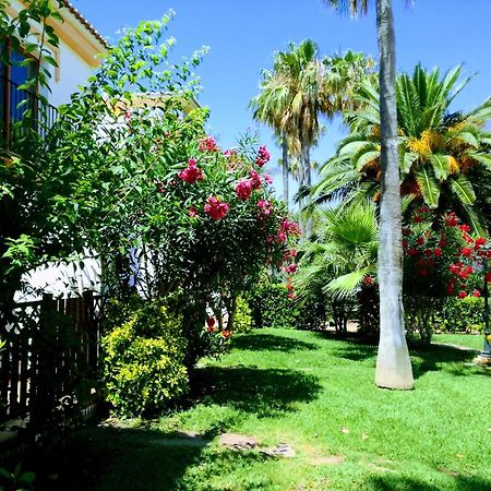 شقة Planta Baja Con Porche Y Piscina, Cerca Del Mar دينايا المظهر الخارجي الصورة